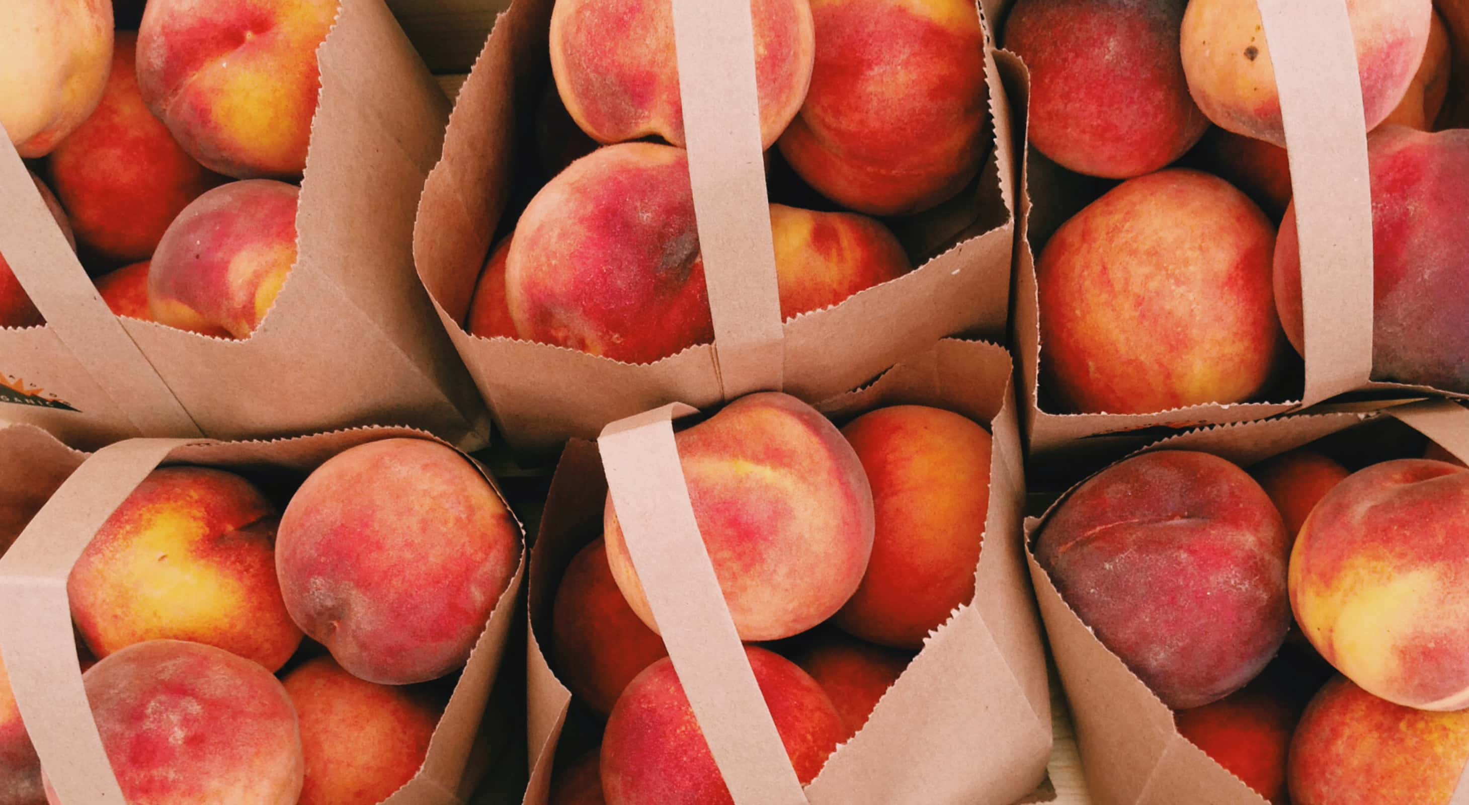 Bags full of Peaches in the Garden