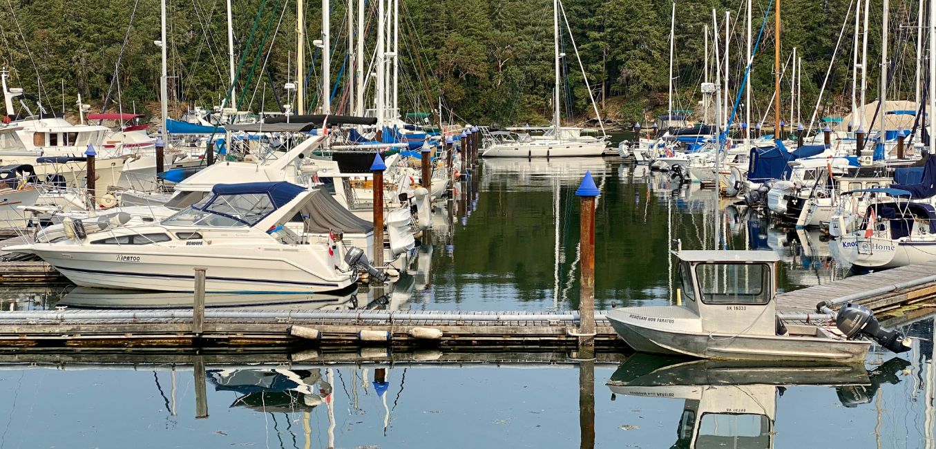 Several boats moored in a quiet harbor with trees on the shore in the background