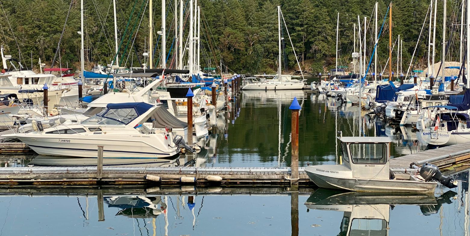 Several boats moored in a quiet harbor with trees on the shore in the background