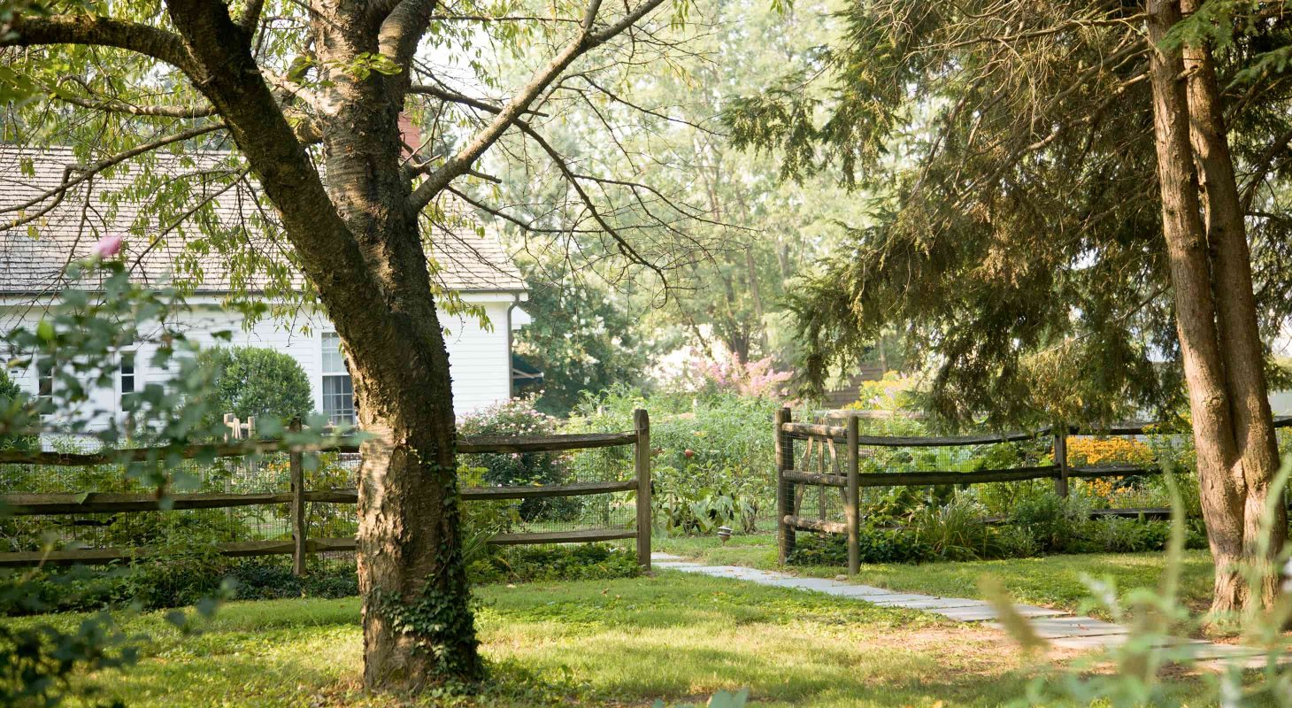Pet friendly Maryland Bed And Breakfast Dog Friendly Chestertown Inn pet-friendly-maryland-bed-and-breakfast-dog-friendly-chestertown-inn