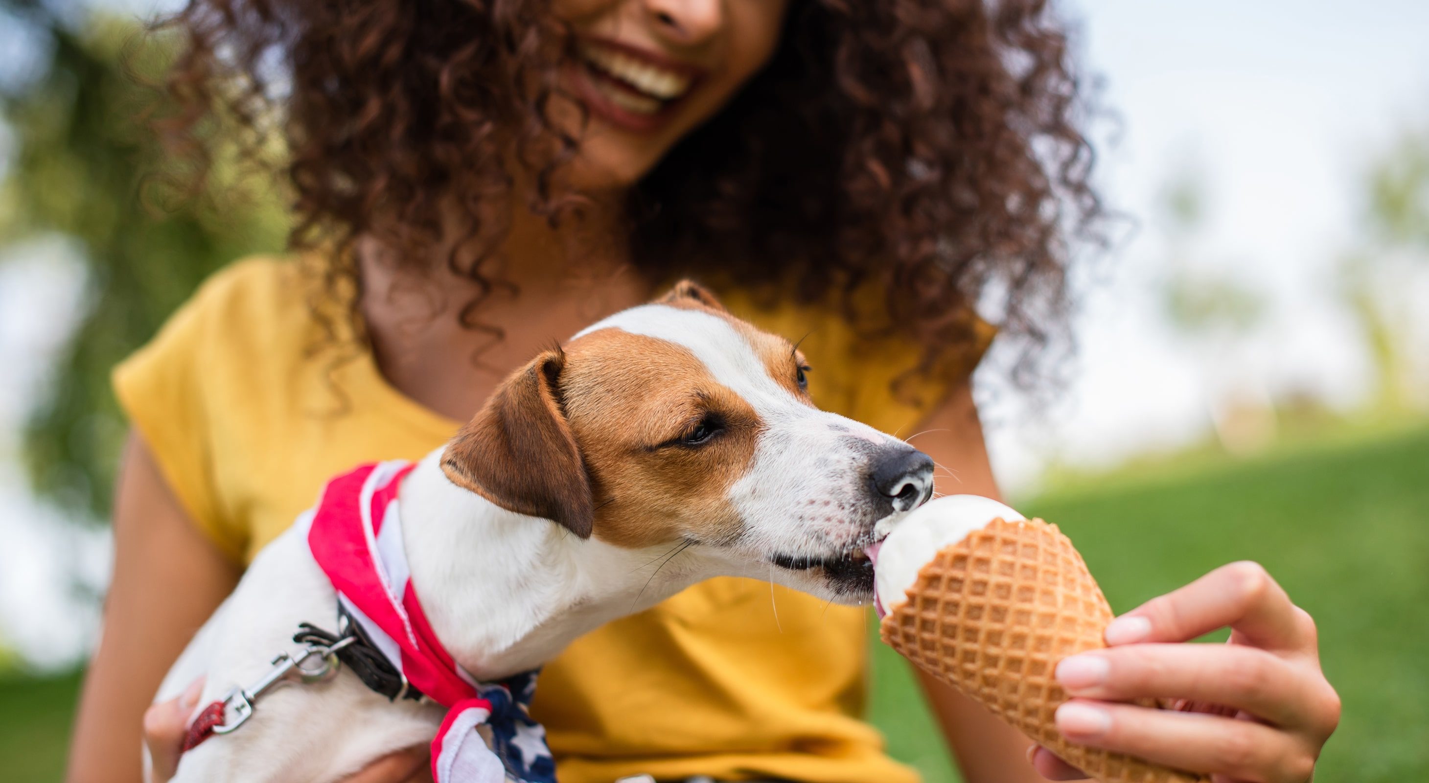 dog eating ice cream on Maryland vacation