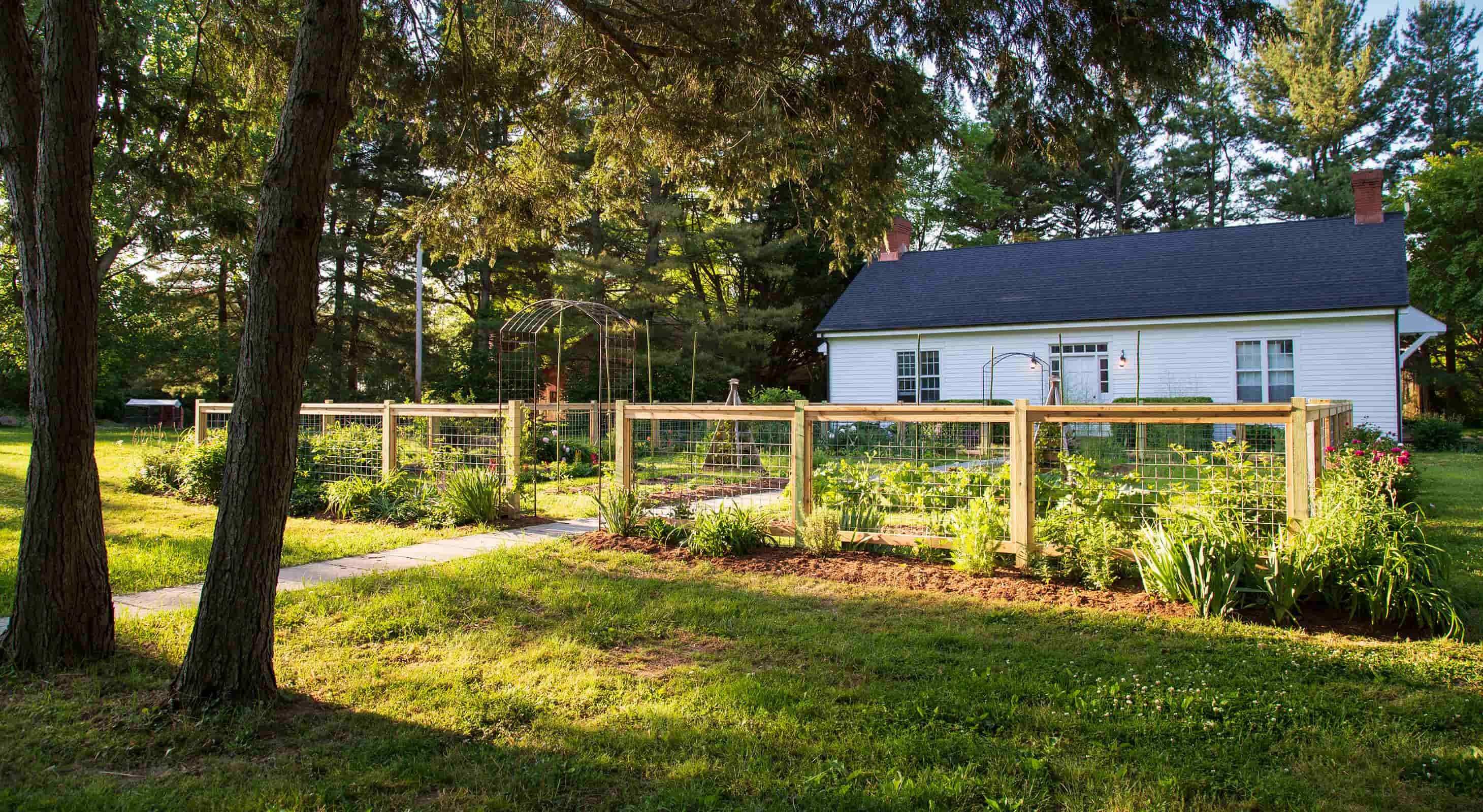 fresh vegetable garden at our Maryland Inn