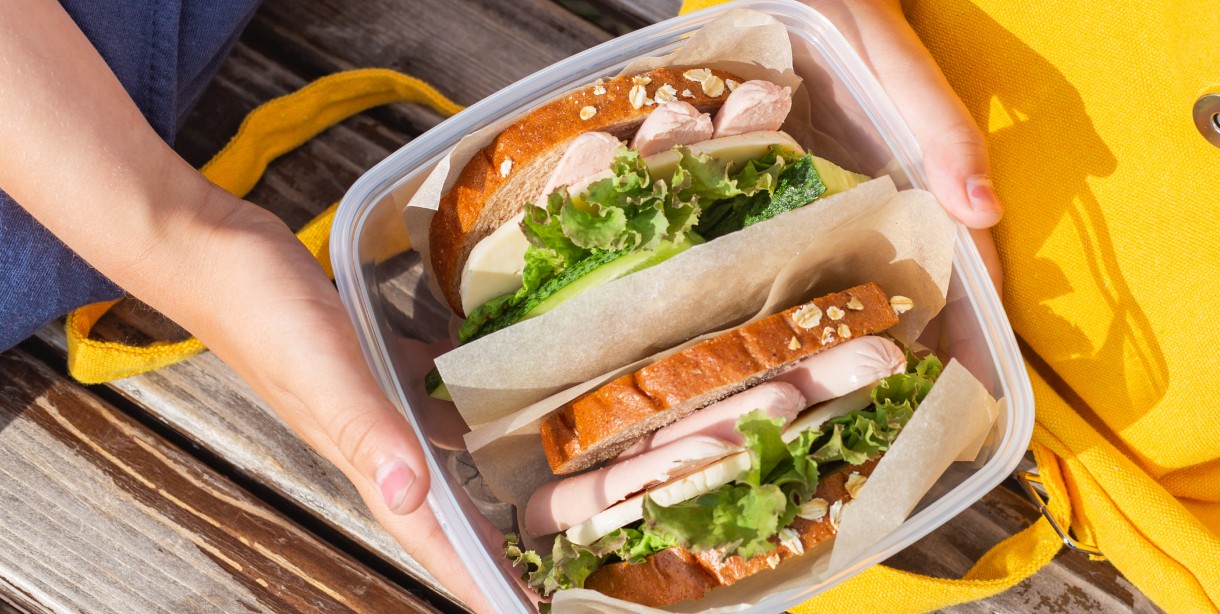 Two sandwiches in gourmet picnic backpack