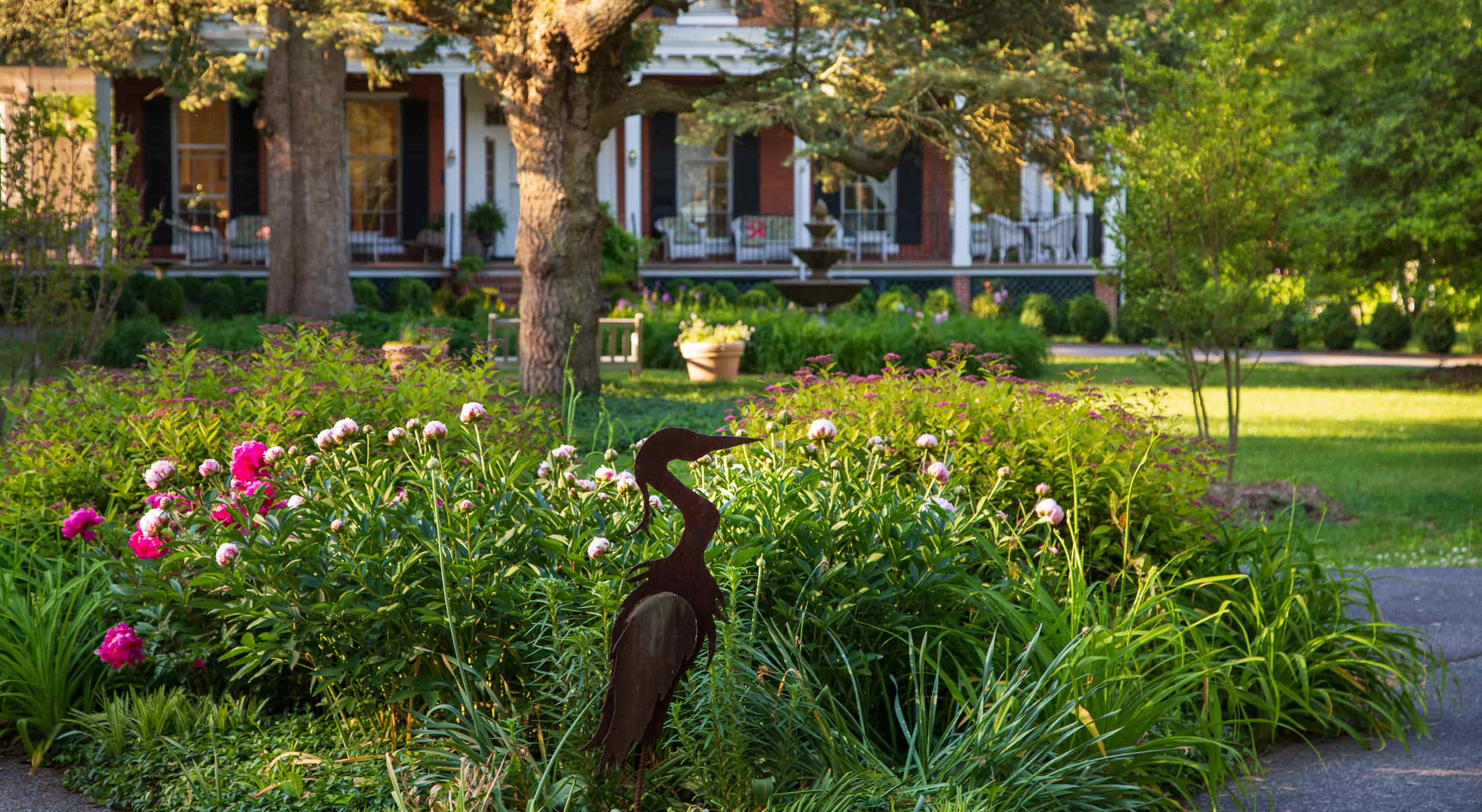 garden flowers and bird statue at brampton inn