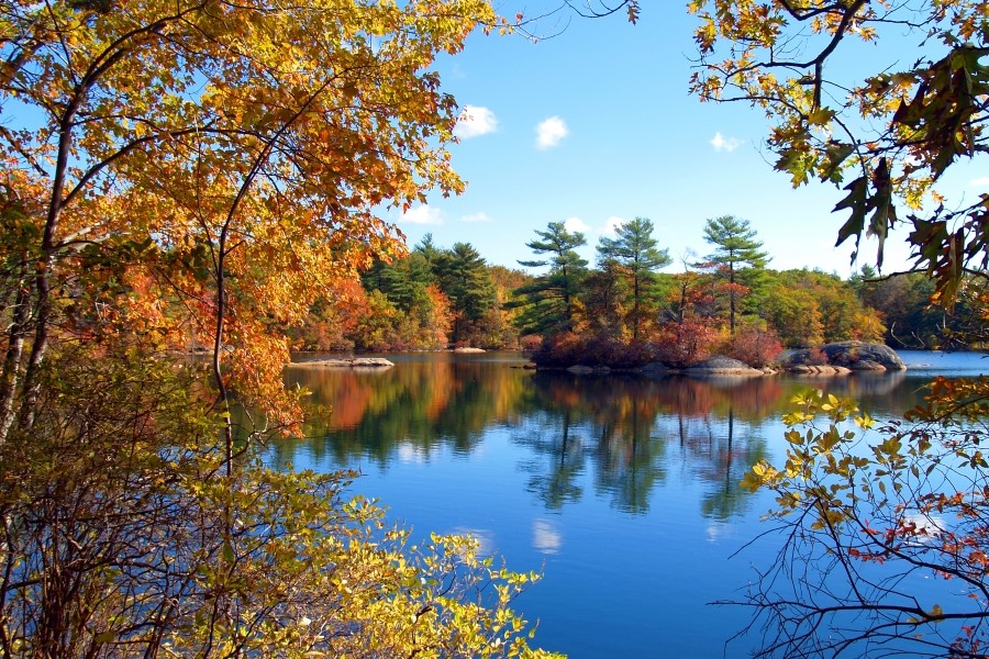 a lake with fall foliage in a wildlife refuge in Maryland