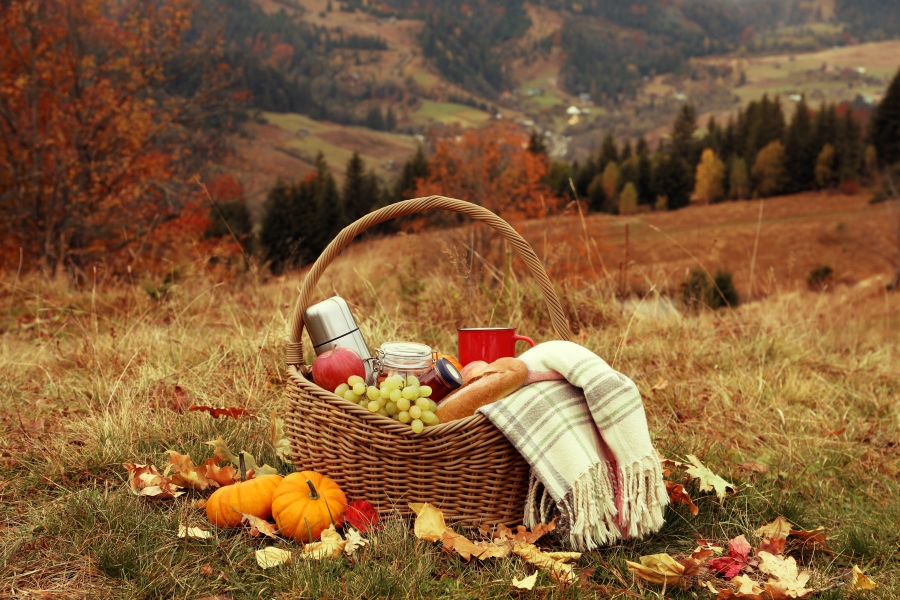 an autumn picnic for a fall foliage getaway in Maryland