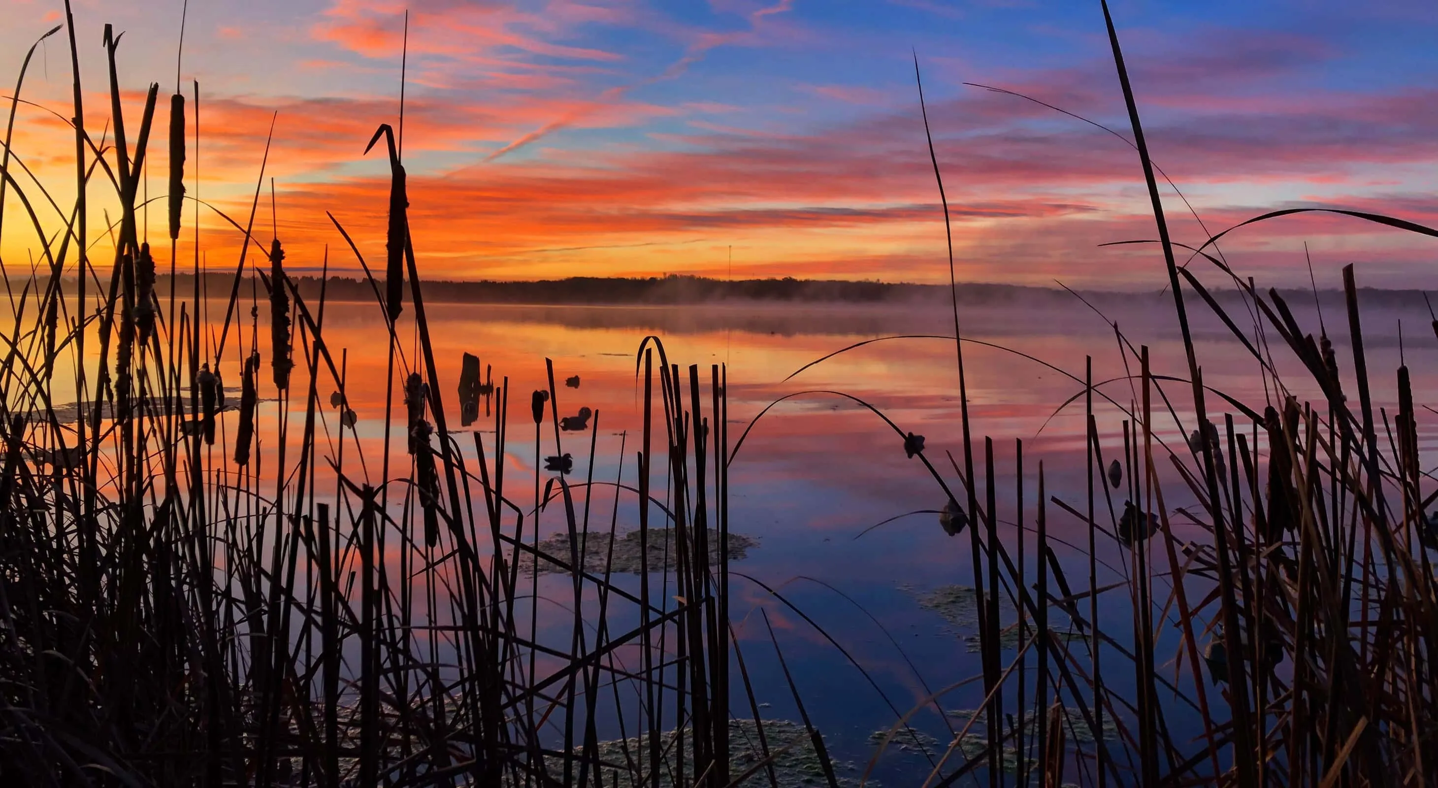 Sun setting over a lake with ducks on a Maryland fall foliage getaway