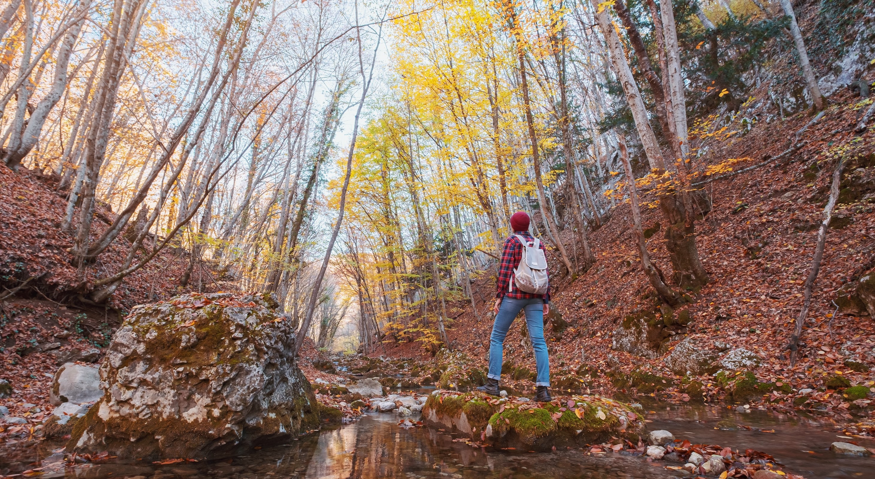 a woman hiking to see the fall foliage in Maryland